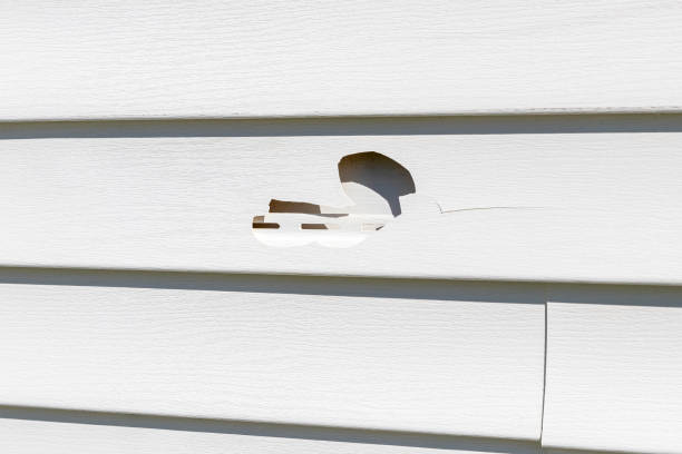 Best Storm Damage Siding Repair  in USA